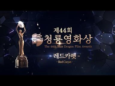 FULL _2023 제44회 청룡영화상 레드카펫 ✨ | The 44rd Blue Dragon Film Awards Red Carpet